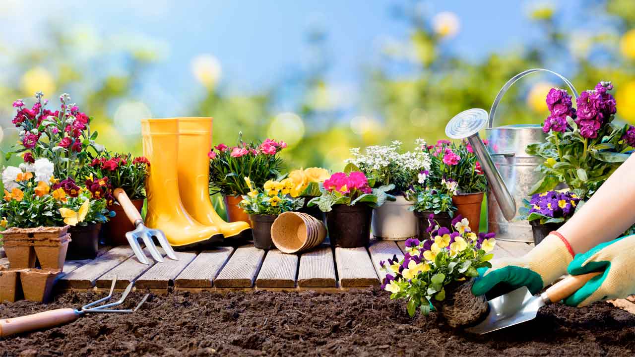 Construye un emprendimiento exitoso en el rubro de las plantas - Nogales 